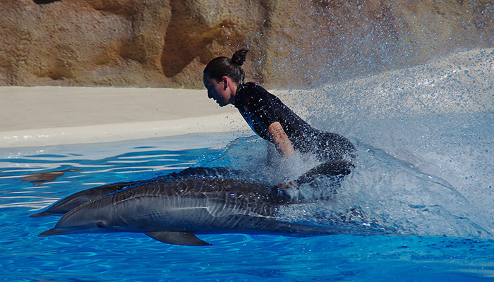 🐬 Dolphin House (Samadai Reef) Tour – Marsa Alam by Boat